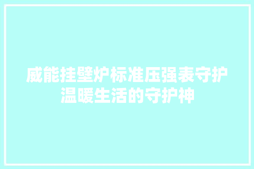 威能挂壁炉标准压强表守护温暖生活的守护神 家电维修