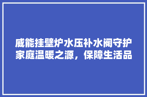 威能挂壁炉水压补水阀守护家庭温暖之源，保障生活品质的守护者 厨房维修