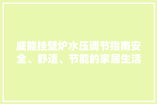 威能挂壁炉水压调节指南安全、舒适、节能的家居生活 家电维修