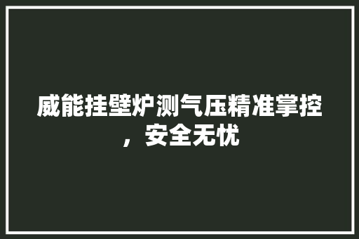 威能挂壁炉测气压精准掌控，安全无忧 汽车维修