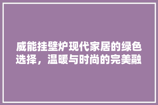 威能挂壁炉现代家居的绿色选择，温暖与时尚的完美融合 综合便民