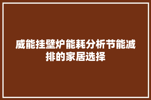 威能挂壁炉能耗分析节能减排的家居选择 厨房维修