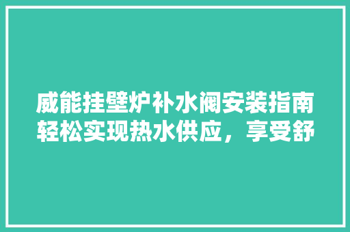 威能挂壁炉补水阀安装指南轻松实现热水供应，享受舒适生活 综合便民