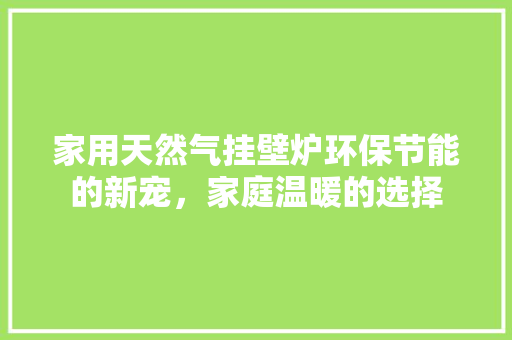家用天然气挂壁炉环保节能的新宠，家庭温暖的选择 家电维修