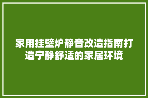 家用挂壁炉静音改造指南打造宁静舒适的家居环境 墙体维修