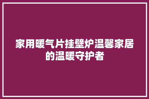 家用暖气片挂壁炉温馨家居的温暖守护者 墙体维修