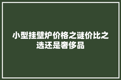 小型挂壁炉价格之谜价比之选还是奢侈品 综合便民