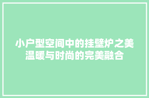 小户型空间中的挂壁炉之美温暖与时尚的完美融合 厨房维修