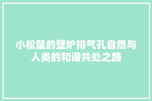 小松鼠的壁炉排气孔自然与人类的和谐共处之路 汽车维修