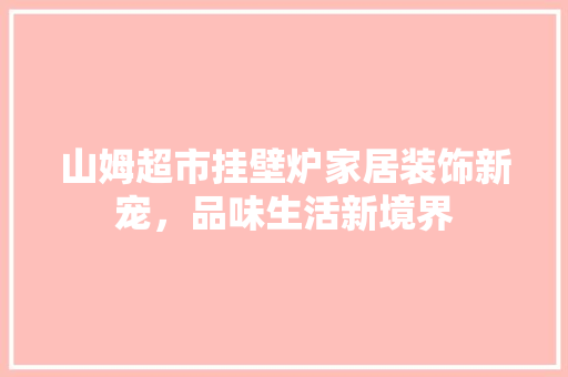 山姆超市挂壁炉家居装饰新宠，品味生活新境界 厨房维修