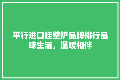 平行进口挂壁炉品牌排行品味生活，温暖相伴 厨房维修