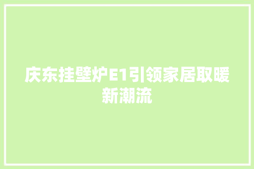 庆东挂壁炉E1引领家居取暖新潮流 综合便民