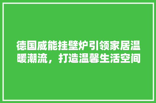 德国威能挂壁炉引领家居温暖潮流，打造温馨生活空间 汽车维修