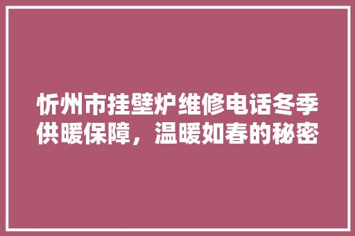 忻州市挂壁炉维修电话冬季供暖保障，温暖如春的秘密武器 家电维修