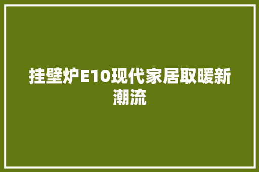 挂壁炉E10现代家居取暖新潮流 厨房维修