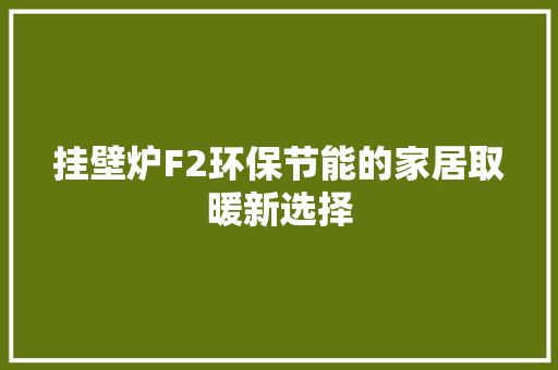 挂壁炉F2环保节能的家居取暖新选择 汽车维修