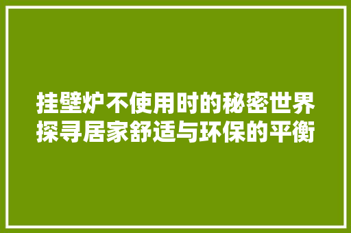 挂壁炉不使用时的秘密世界探寻居家舒适与环保的平衡之路 家电维修