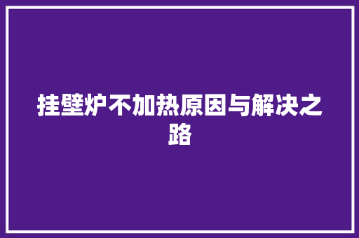 挂壁炉不加热原因与解决之路 厨房维修