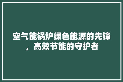 空气能锅炉绿色能源的先锋，高效节能的守护者