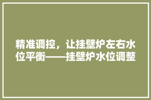 精准调控，让挂壁炉左右水位平衡——挂壁炉水位调整指南