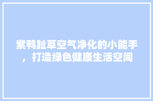紫鸭趾草空气净化的小能手，打造绿色健康生活空间