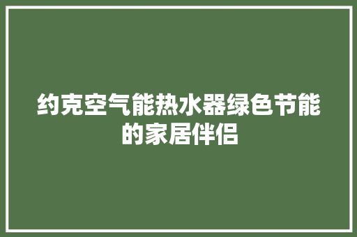 约克空气能热水器绿色节能的家居伴侣