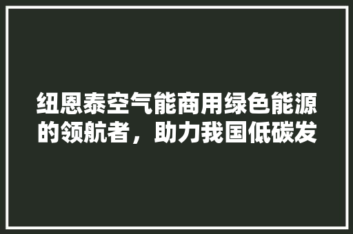 纽恩泰空气能商用绿色能源的领航者，助力我国低碳发展