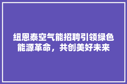 纽恩泰空气能招聘引领绿色能源革命，共创美好未来