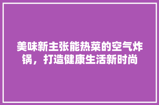 美味新主张能热菜的空气炸锅，打造健康生活新时尚