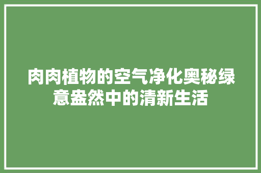 肉肉植物的空气净化奥秘绿意盎然中的清新生活 综合便民