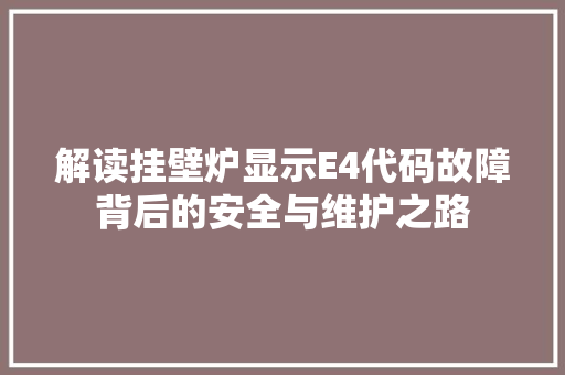 解读挂壁炉显示E4代码故障背后的安全与维护之路 厨房维修