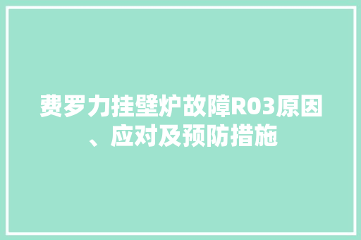 费罗力挂壁炉故障R03原因、应对及预防措施