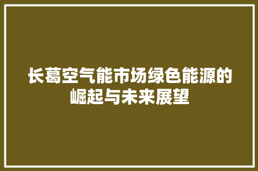 长葛空气能市场绿色能源的崛起与未来展望