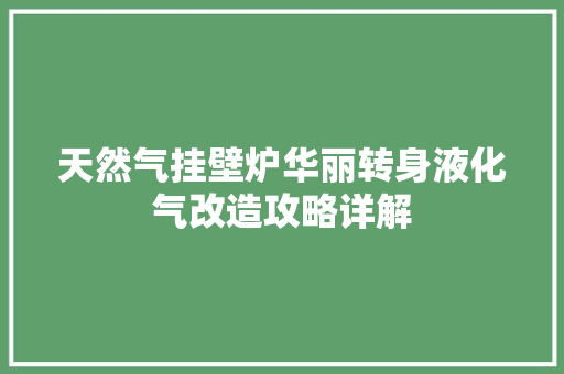 天然气挂壁炉华丽转身液化气改造攻略详解 综合便民