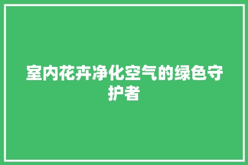 室内花卉净化空气的绿色守护者