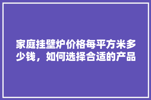 家庭挂壁炉价格每平方米多少钱，如何选择合适的产品