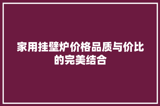 家用挂壁炉价格品质与价比的完美结合