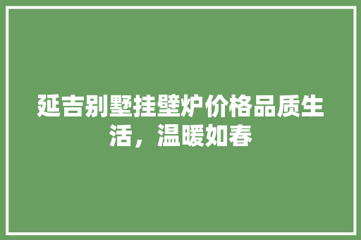 延吉别墅挂壁炉价格品质生活，温暖如春 厨房维修