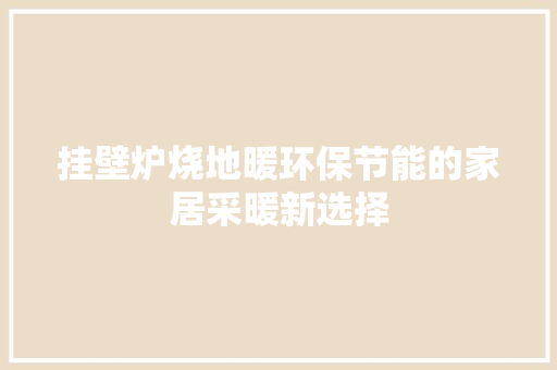 挂壁炉烧地暖环保节能的家居采暖新选择