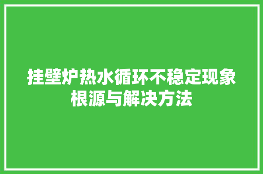 挂壁炉热水循环不稳定现象根源与解决方法