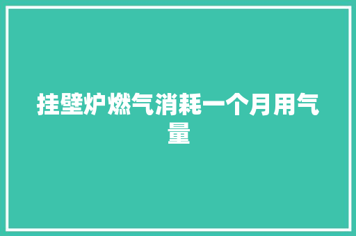 挂壁炉燃气消耗一个月用气量
