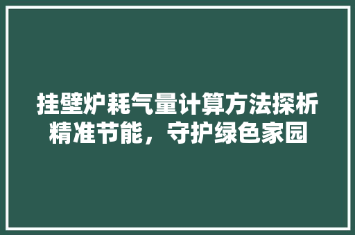 挂壁炉耗气量计算方法探析精准节能，守护绿色家园