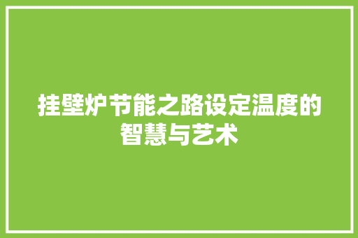 挂壁炉节能之路设定温度的智慧与艺术