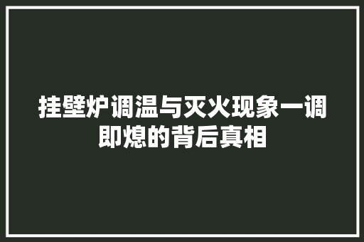 挂壁炉调温与灭火现象一调即熄的背后真相