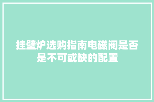 挂壁炉选购指南电磁阀是否是不可或缺的配置 家电维修