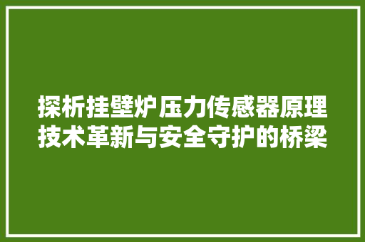 探析挂壁炉压力传感器原理技术革新与安全守护的桥梁