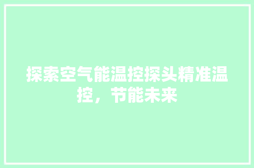 探索空气能温控探头精准温控，节能未来