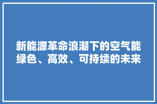 新能源革命浪潮下的空气能绿色、高效、可持续的未来能源