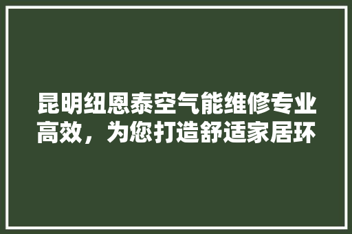 昆明纽恩泰空气能维修专业高效，为您打造舒适家居环境 厨房维修