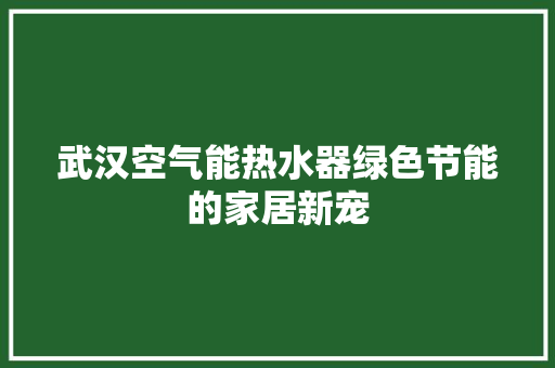 武汉空气能热水器绿色节能的家居新宠